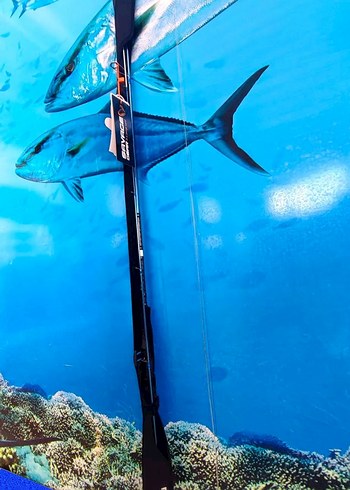 Okuma+Kendo Spin Olta Seti - Görsel 2