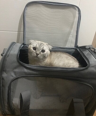  Beden Kedi Köpek Çantası (Large)