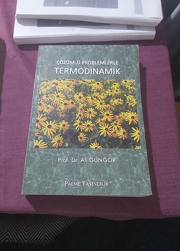 Palme termodinamik - Görsel 2