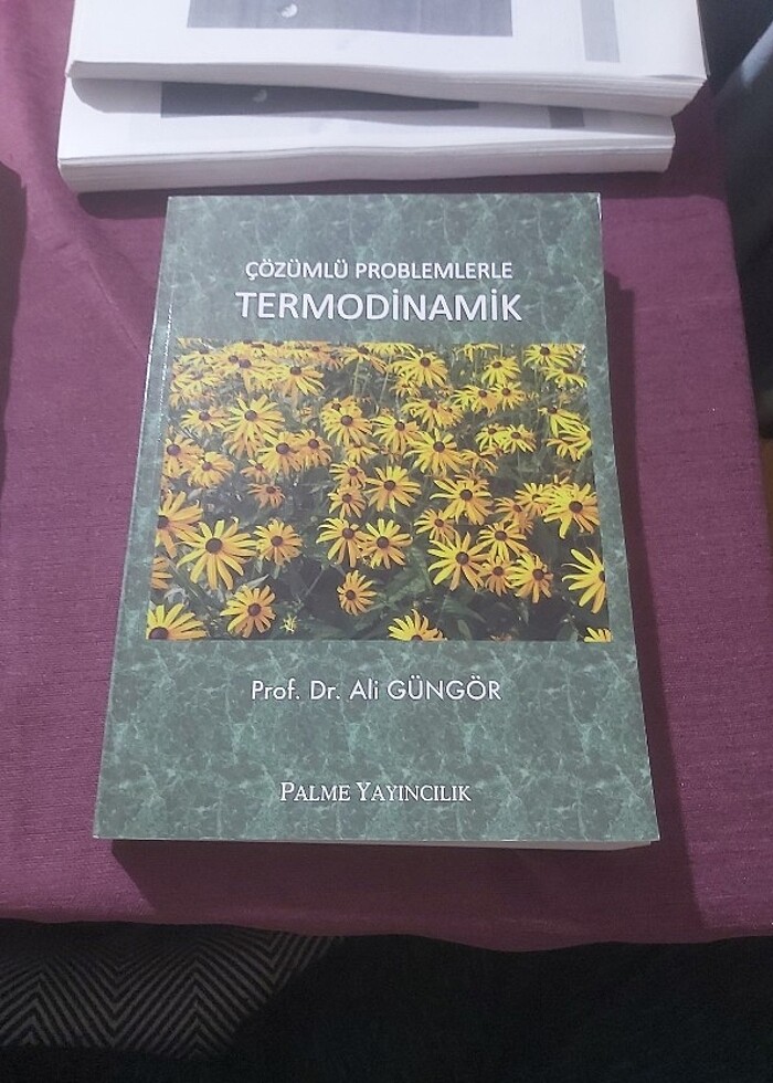 Palme termodinamik - Görsel 2