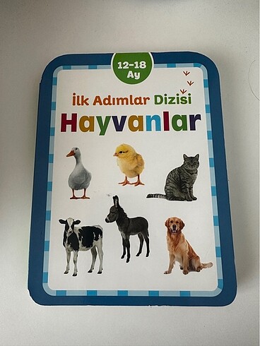 İlk Adımlar Dizisi