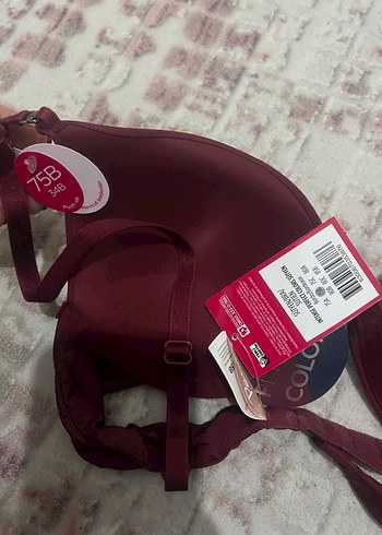 diğer Beden Bordo Düz Basic Sütyen