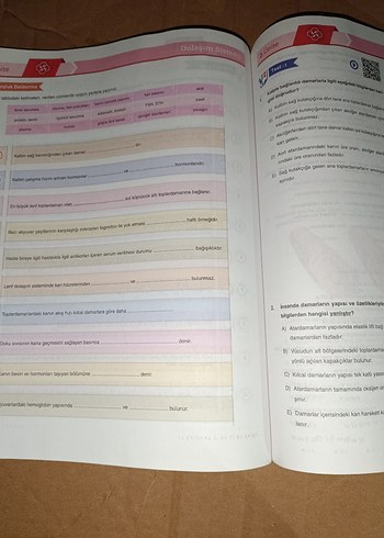 11. Sınıf Biyoloji Aktif Öğrenim Seti - Görsel 4