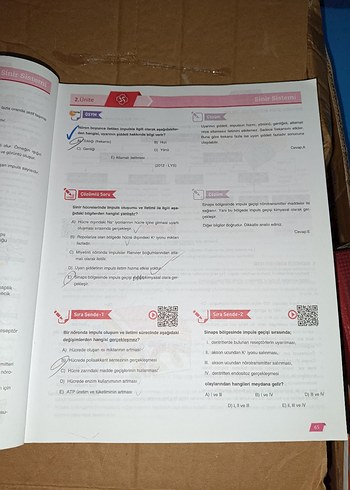 11. Sınıf Biyoloji Aktif Öğrenim Seti - Görsel 2