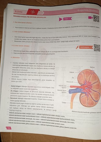 11. Sınıf Biyoloji Aktif Öğrenim Seti - Görsel 5
