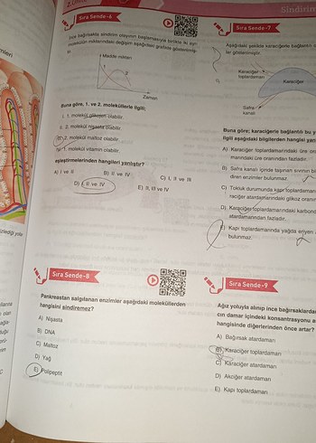 11. Sınıf Biyoloji Aktif Öğrenim Seti - Görsel 8