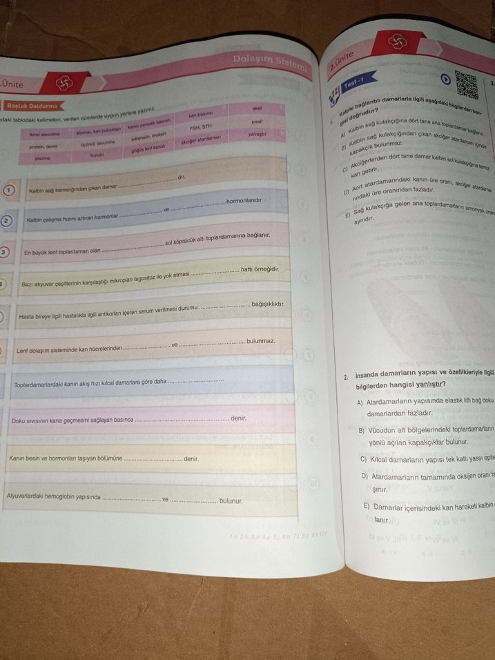 11. Sınıf Biyoloji Aktif Öğrenim Seti - Görsel 4