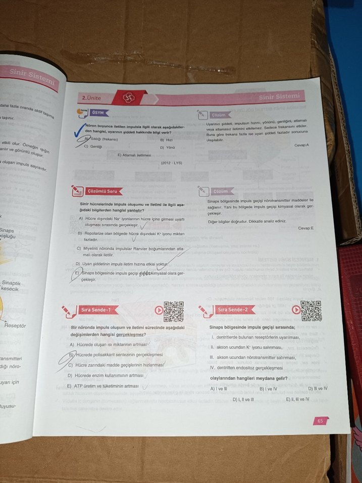 11. Sınıf Biyoloji Aktif Öğrenim Seti - Görsel 2