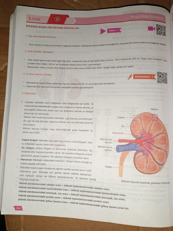 11. Sınıf Biyoloji Aktif Öğrenim Seti - Görsel 5