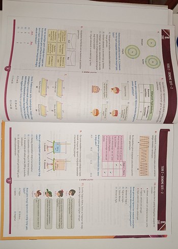 8. Sınıf TEOG 2 deneme Anafen yayınları - Görsel 6