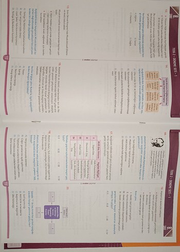 8. Sınıf TEOG 2 deneme Anafen yayınları - Görsel 5