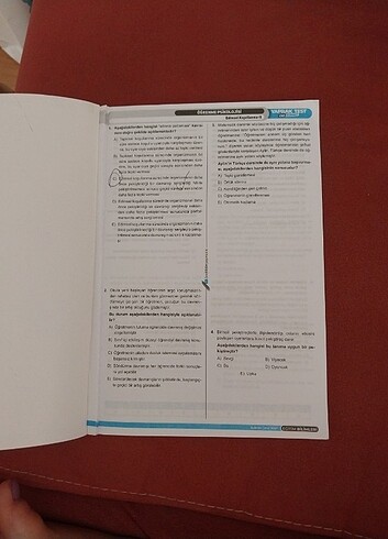  Beden Renk Ogrenme ve ölçme yaprak test