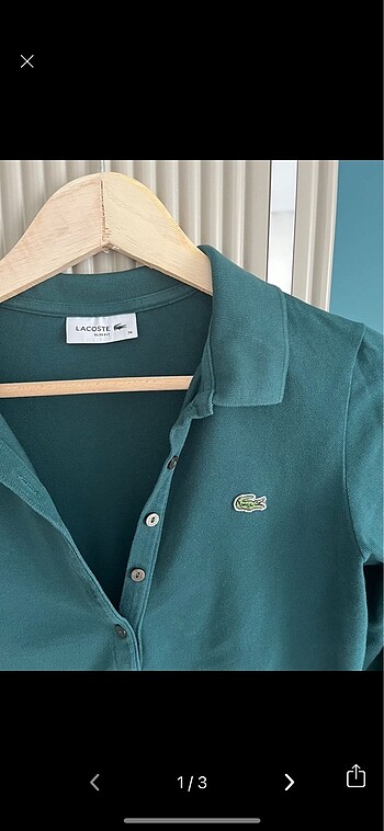 Lacoste sweatshirt