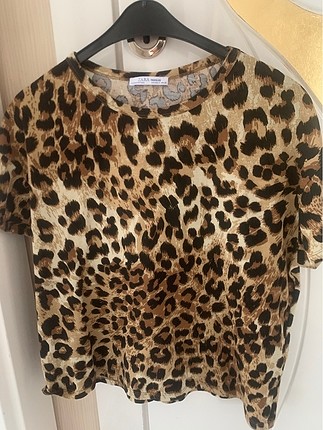 Zara leopar