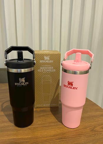 Stanley Siyah Termos - Görsel 3