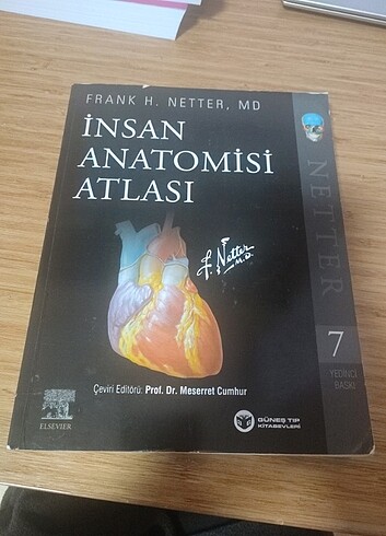 Netter insan anatomisi atlası 