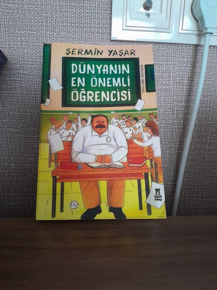 Dünyanın En Önemli Öğrencisi - Şermin Yaşar - Görsel 2