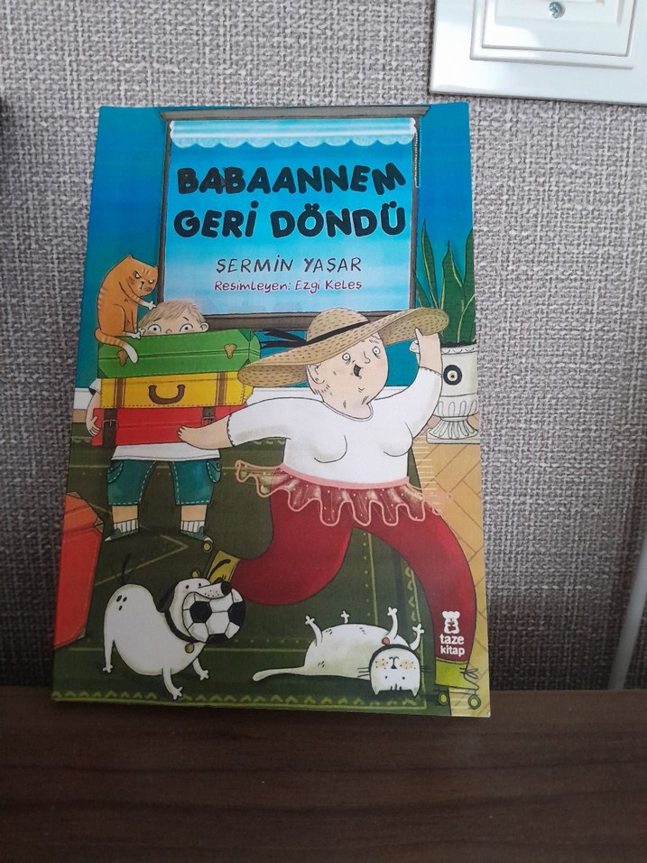Babaanne'm Geri Döndü - Çocuk Kitabı - Görsel 2