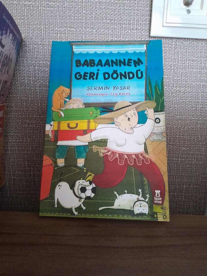 Babaanne'm Geri Döndü - Çocuk Kitabı - Görsel 3