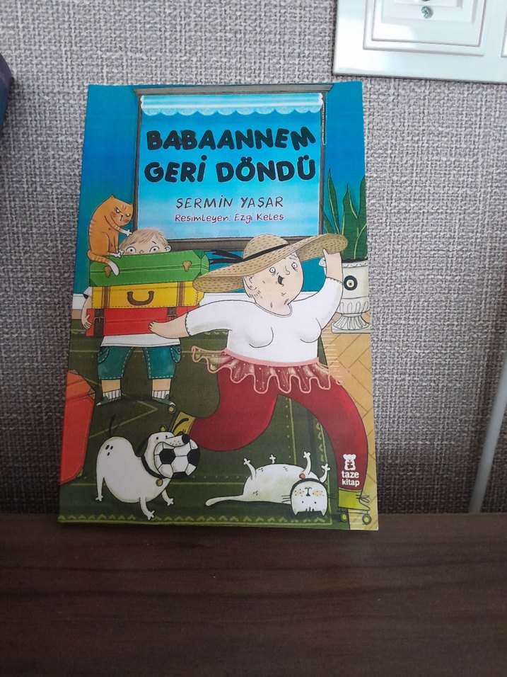 Babaanne'm Geri Döndü - Çocuk Kitabı - Görsel 5