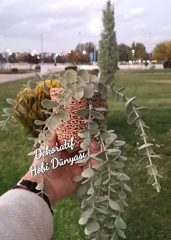Okaliptüs Dekoratif Saksı