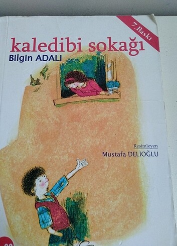 Bilgin adalı