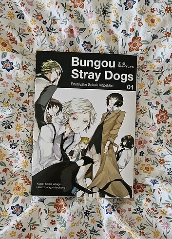 Bungou Stray Dogs 1. cilt