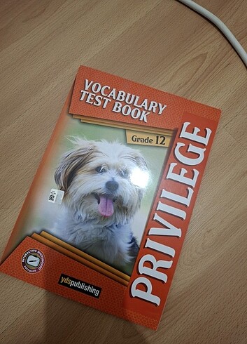 Ydspublishing vocabulary test kitabı 