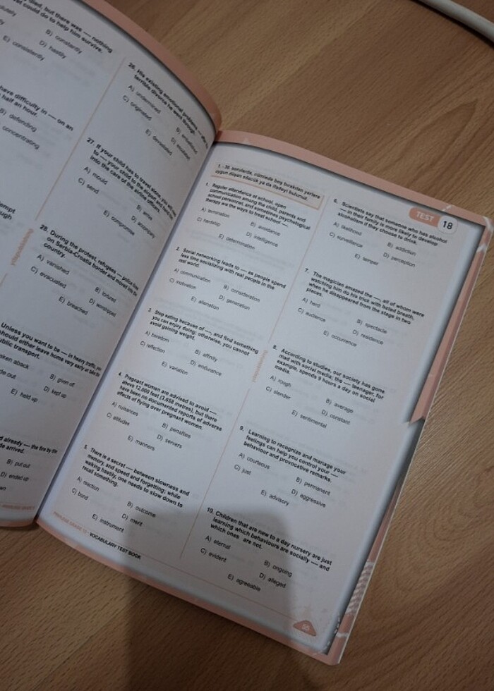 Ydspublishing vocabulary test kitabı  - Görsel 2