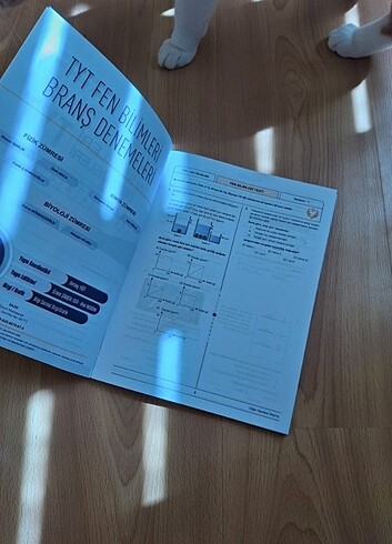 Bilgi sarmal tyt fen denemeleri - Görsel 2