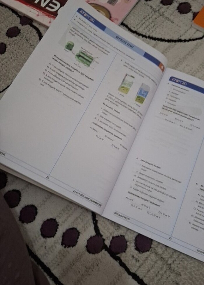 Apotemi ayt biyoloji 25 li deneme  - Görsel 2