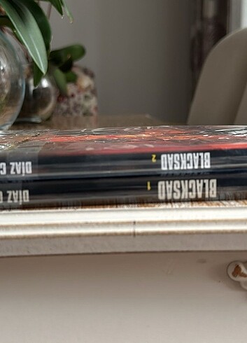  Beden Renk Fotoğrafta gözüken 12 kitap 