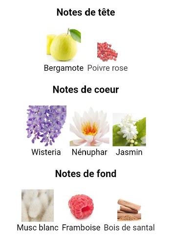 Beden Jean Charles Brosseau Fleurs d'Ombre Nymphéa