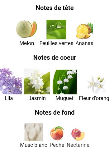 Beden Jean Charles Brosseau Fleurs D'Ombre Jasmin Lilas
