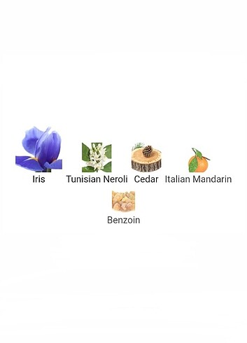  Beden PRADA INFUSION D'IRIS MUSCENT F108