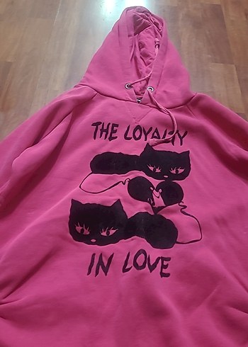 Kadın Pembe Kapüşonlu Uzun Kollu Sweatshirt - Görsel 4