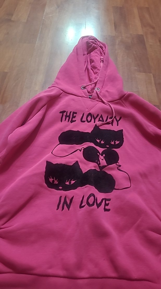 Kadın Pembe Kapüşonlu Uzun Kollu Sweatshirt - Görsel 4