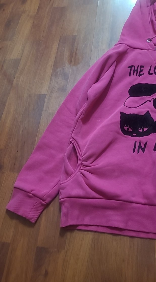 Kadın Pembe Kapüşonlu Uzun Kollu Sweatshirt - Görsel 3