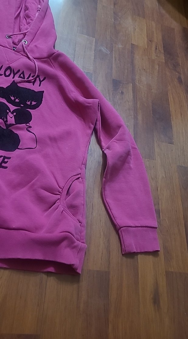 Kadın Pembe Kapüşonlu Uzun Kollu Sweatshirt - Görsel 2