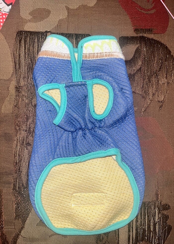 Kedi kıyafeti - Görsel 2