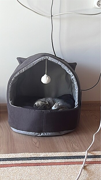 Kedi yatağı 