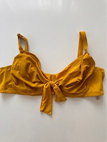 Bikini üstü