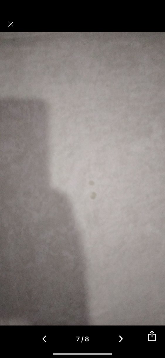 Gri Çerçeveli Beyaz Modern Halı
180/230 - Görsel 5