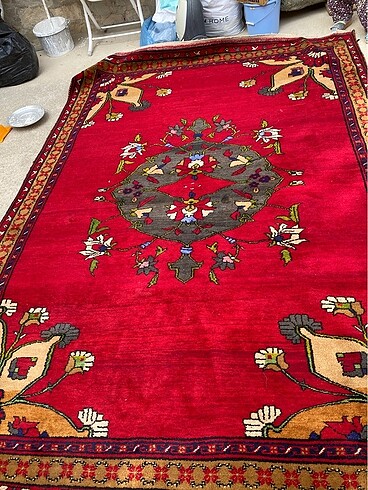 Beden bordo Renk Kurt halısı