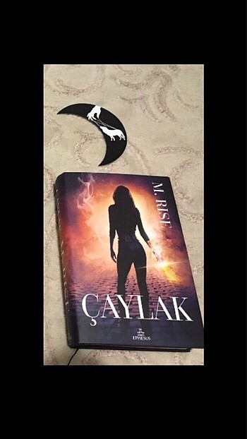Çaylak