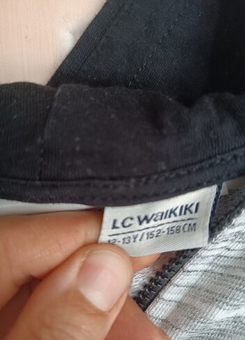 LC Waikiki Yeni sayılır