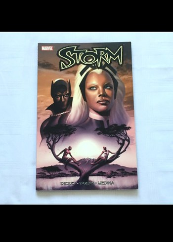 Storm Çizgi Roman (2006)