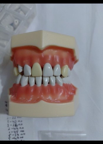 fuji çene - Görsel 2