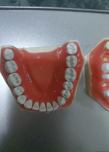 fuji çene - Görsel 3