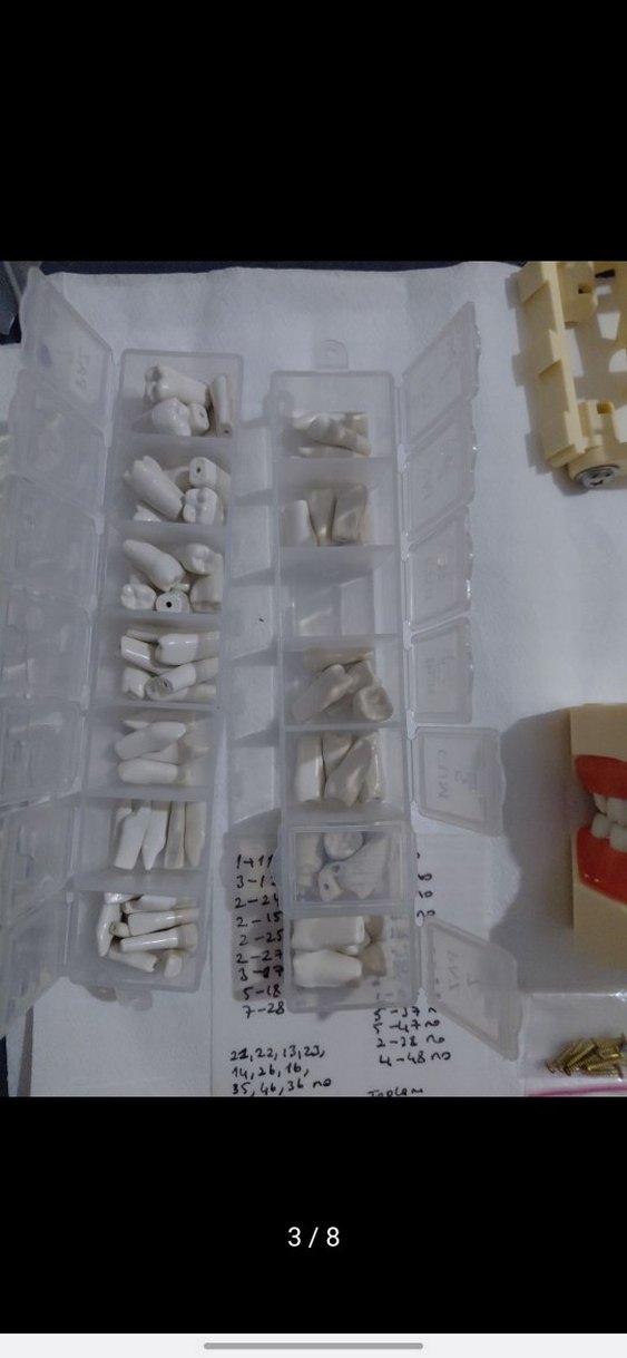 Diş Modeli Eğitim Kiti - Görsel 3